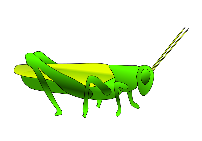 green grasshopper clipart - photo #5