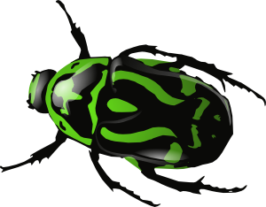 free vector Green Beetle 	 clip art
