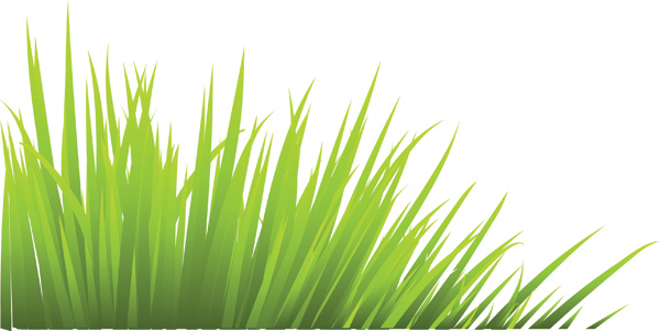 free vector Green grass vector