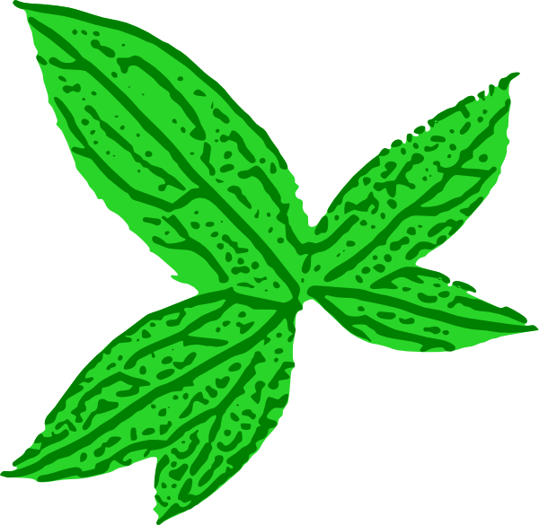 Download Green Leaf clip art (120226) Free SVG Download / 4 Vector