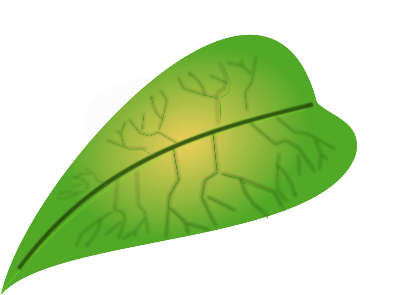 free vector Green leaf