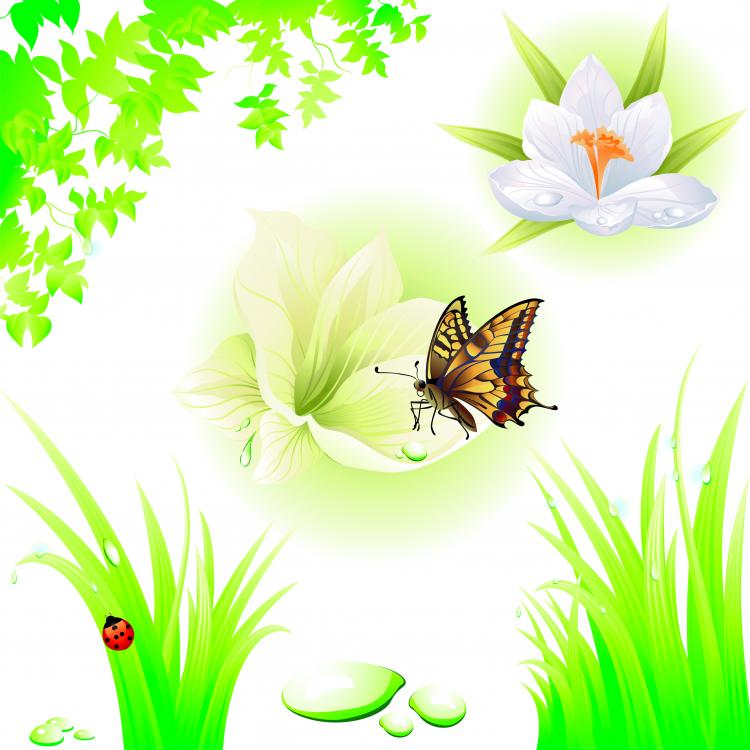 free clipart of nature - photo #34