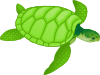 free vector Green Sea Turtle clip art