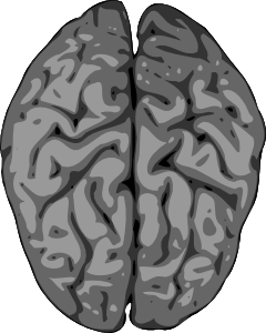 free vector Grey Brain clip art