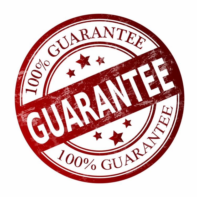 free vector Guarantee stamp - stock image