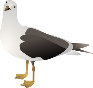 free vector Gull clip art