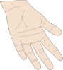free vector Hand Palm clip art