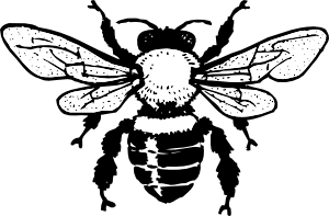 free vector Honey Bee clip art