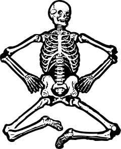 free vector Human Skeleton clip art