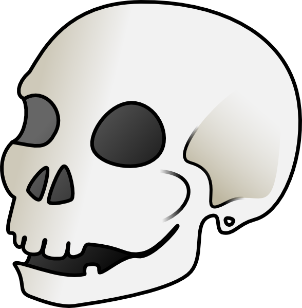free vector Human Skull clip art
