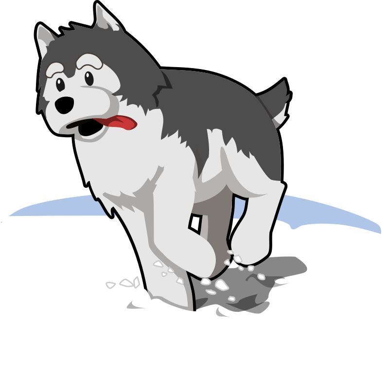 free vector Husky running in snow
