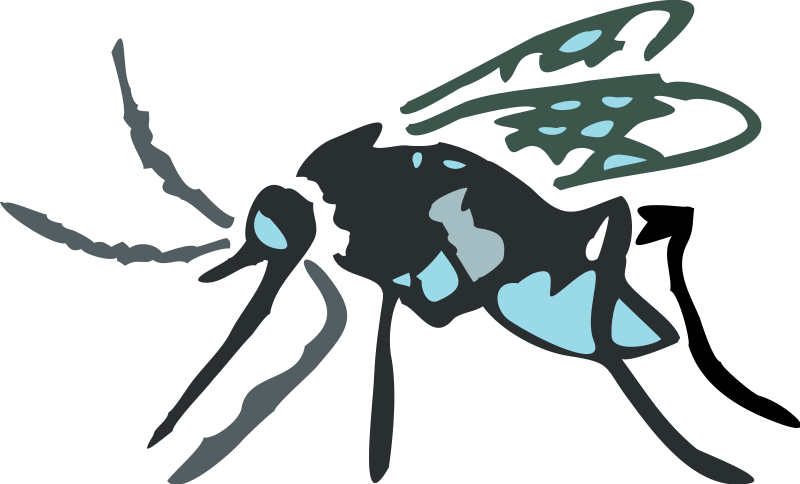 free vector Insect 05