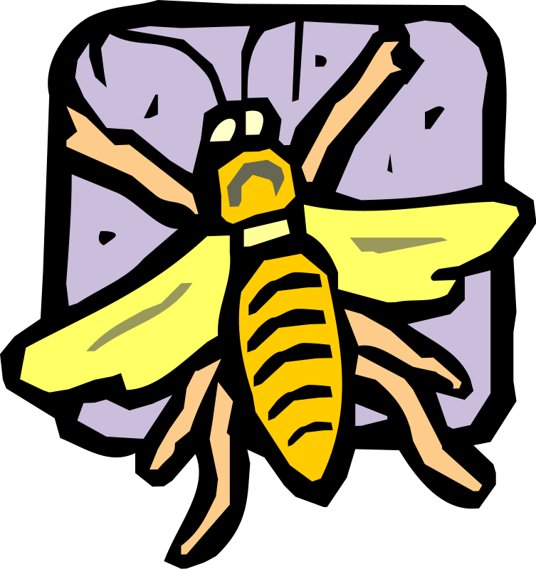 free vector Insect 07