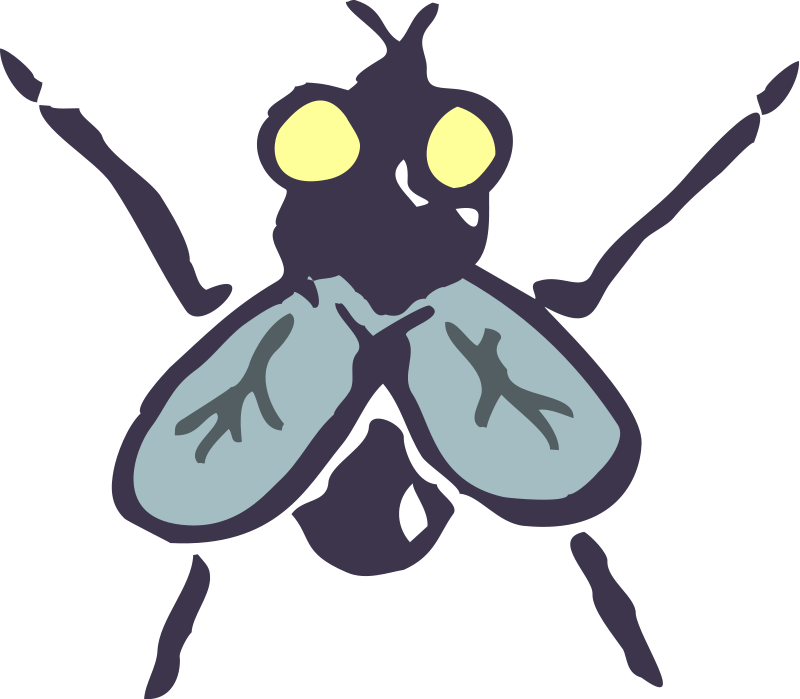 free vector Insect 14