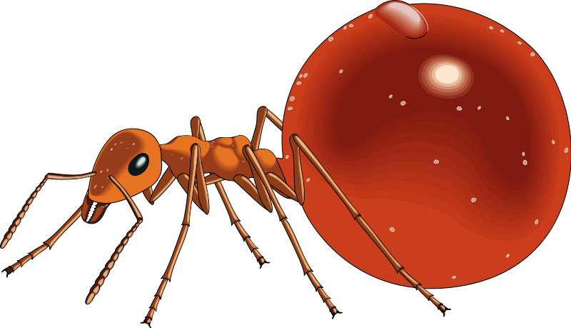 free vector Insect 21