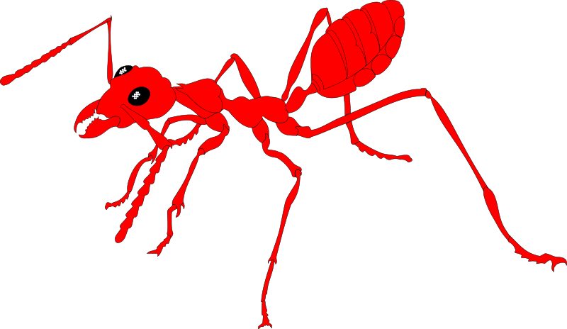 free vector Insect 24