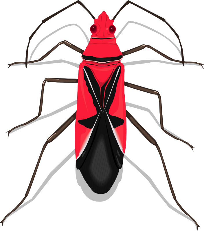free vector Insect 27