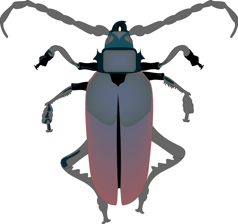 free vector Insect 29