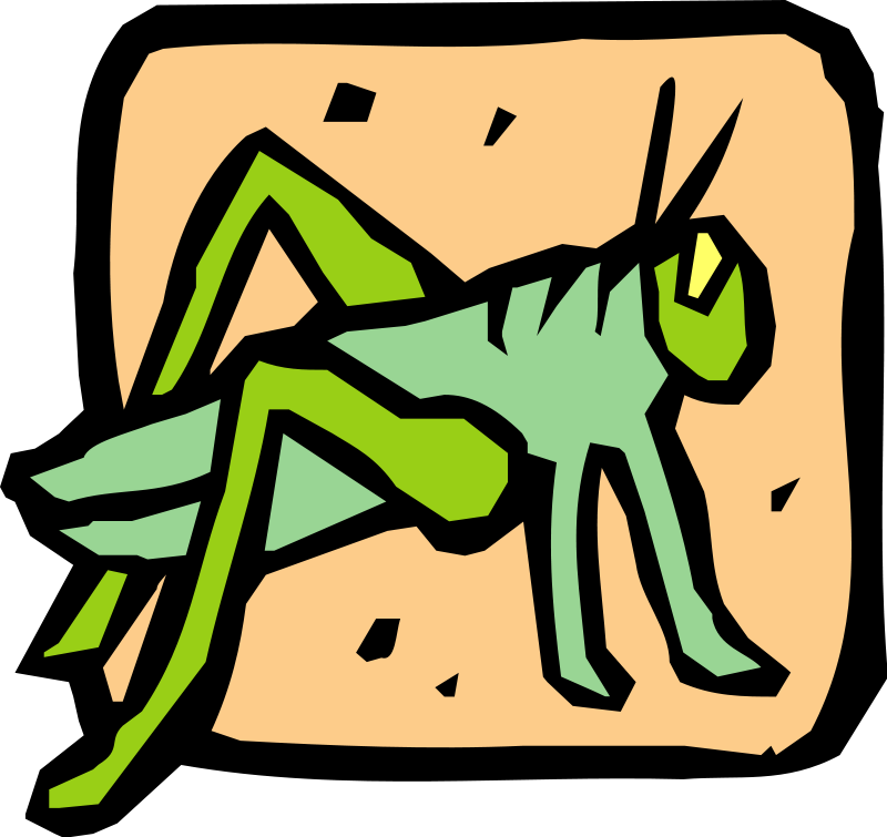 free vector Insect 39