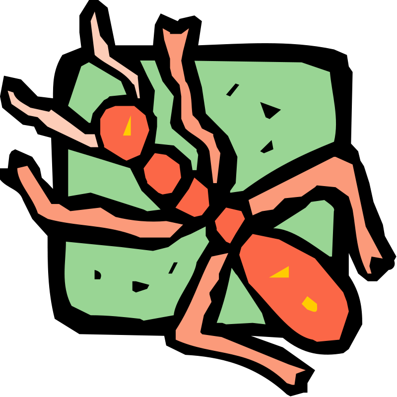 free vector Insect 40