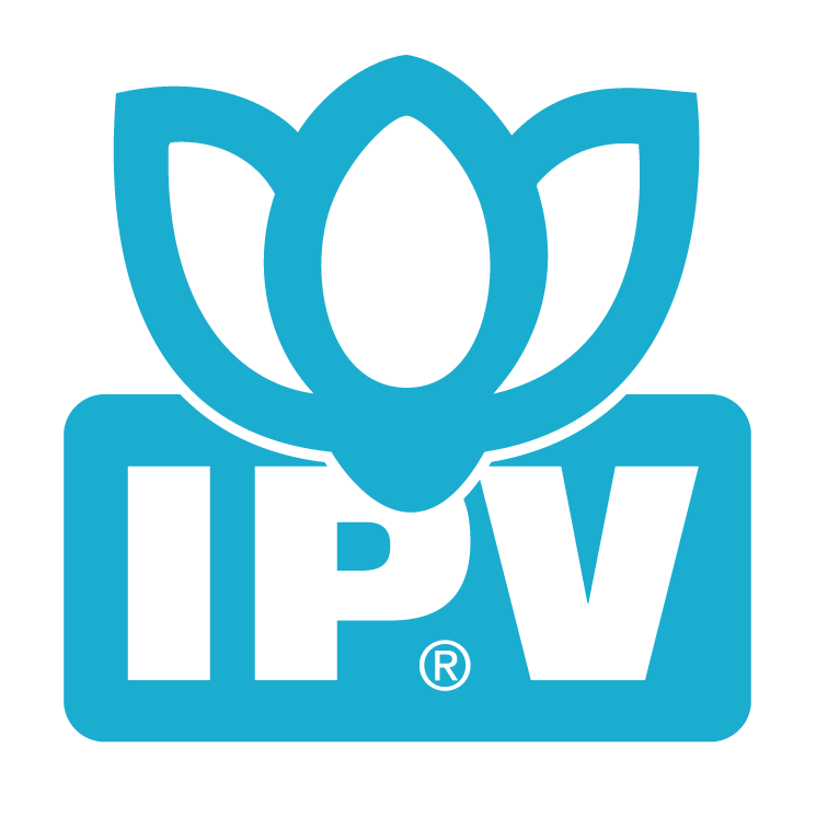 free vector Ipv