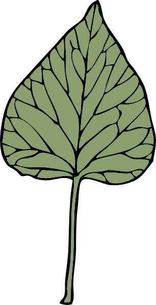 Download Ivy Leaf clip art (109086) Free SVG Download / 4 Vector