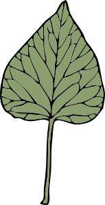 free vector Ivy Leaf clip art