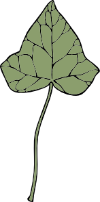 free vector Ivy Leaf clip art