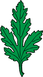 free vector Ivy Leaf Green Chrysanthemum clip art