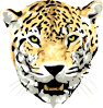free vector Jaguar clip art