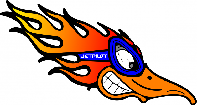 free vector Jetpilot bird