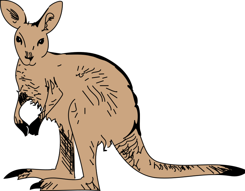 Download Kangaroo (99075) Free SVG Download / 4 Vector