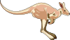 free vector Kangaroo clip art