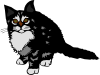 free vector Kitten Black clip art