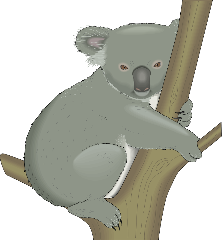 Koala clipart svg, Koala svg   Cute koala bear, Animals for