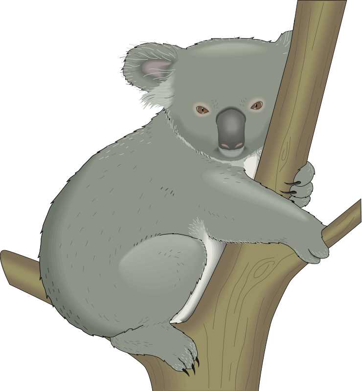 Koala (99076) Free SVG Download / 4 Vector