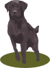 free vector Labrador Retriever (black) clip art
