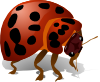 Free Free 178 Ladybug Free Svg Clipart For Cricut SVG PNG EPS DXF File