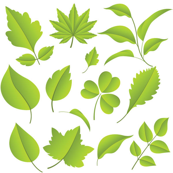 free vector Leaf 02 vector