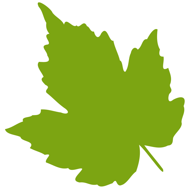 free vector Leaf 04