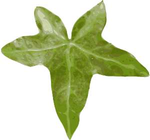 free vector Leaf clip art