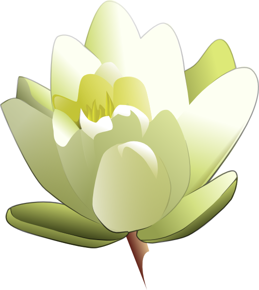 free vector Leland Mcinnes Water Lily clip art
