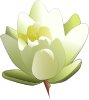 free vector Leland Mcinnes Water Lily clip art