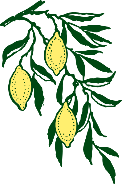 free vector Lemon Branch clip art