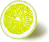 free vector Lemon clip art