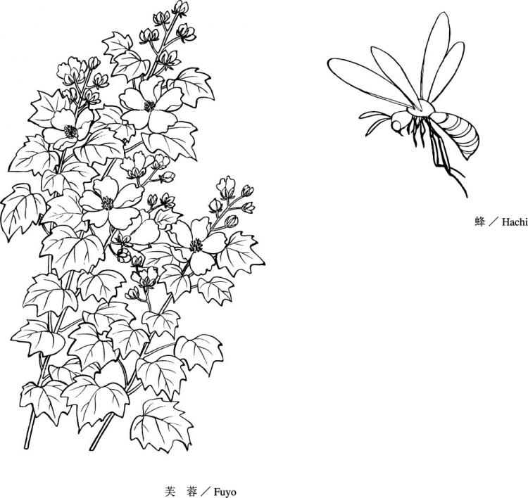 free vector Line drawing of flowers -15