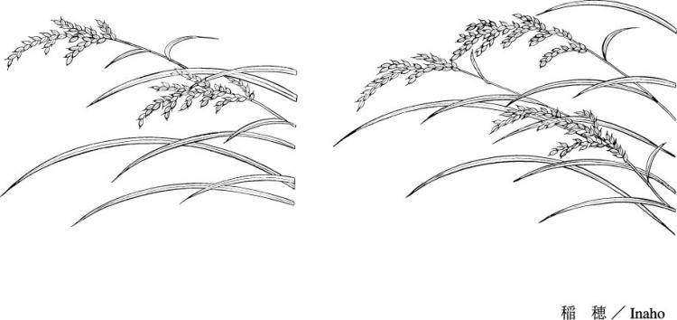 free vector Line drawing of flowers -23