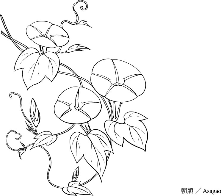 Line Drawing Of Flowers Free Eps Download 4 Vector