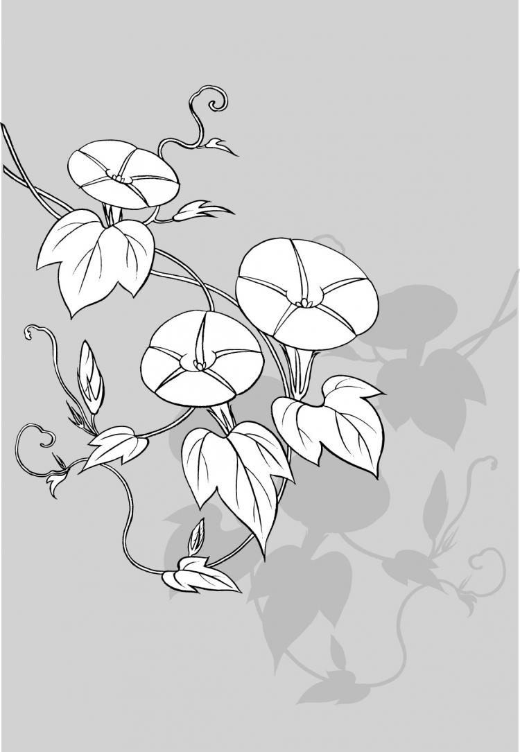 free vector Line drawing of flowers -9