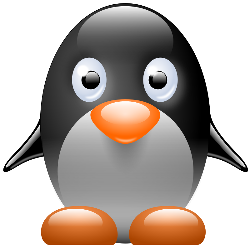 free vector Little penguin